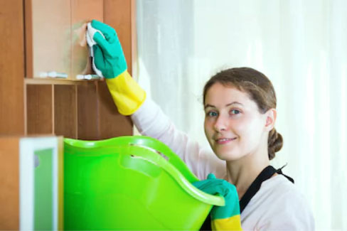 Domestic Cleaner 3 V2